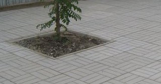 Качественная тротуарная плитка серого цвета в Лесне в октябре