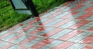 Профессиональная укладка цементной тротуарной плитки в Лесне в октябре