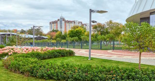 Профессиональное озеленение улиц в Лесне в октябре